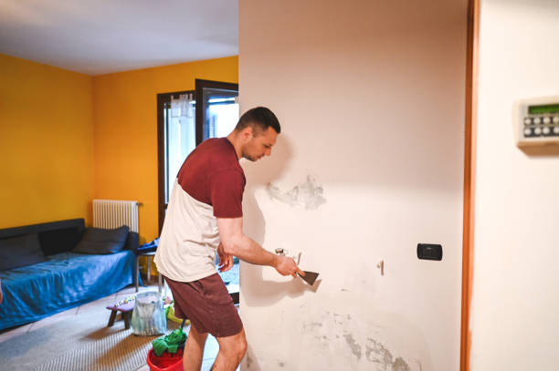 Best Mold Testing  in Avondale Estates, GA